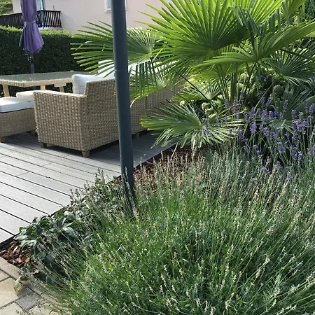 Appartamento Les Hortensias En Alsace - Meublé De Tourisme 3 étoiles *