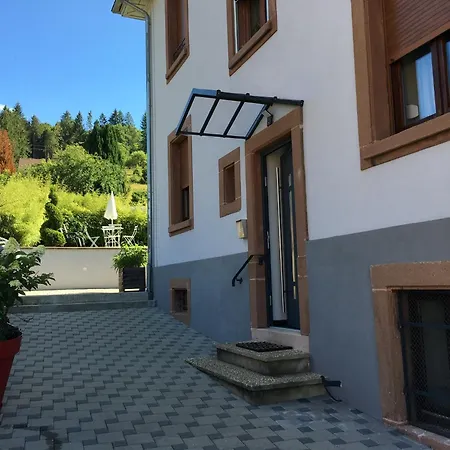 Les Hortensias En Alsace - Meublé De Tourisme 3 étoiles Appartamento Barembach