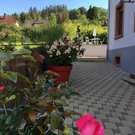 Les Hortensias En Alsace - Meublé De Tourisme 3 étoiles