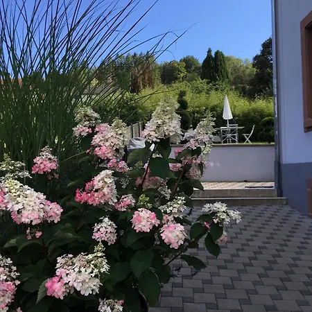 Appartamento Les Hortensias En Alsace - Meublé De Tourisme 3 étoiles *
