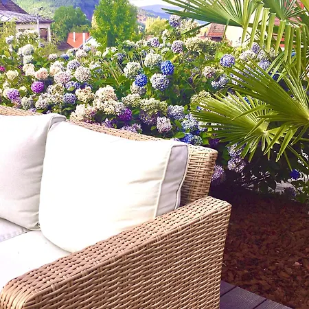 Les Hortensias En Alsace - Meuble De Tourisme 3 Etoiles Apartment *