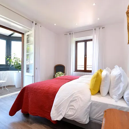 Les Hortensias En Alsace - Meublé De Tourisme 3 étoiles Appartamento Barembach