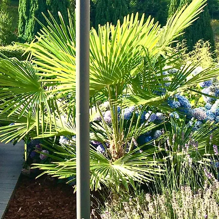 Les Hortensias En Alsace - Meublé De Tourisme 3 étoiles Appartamento