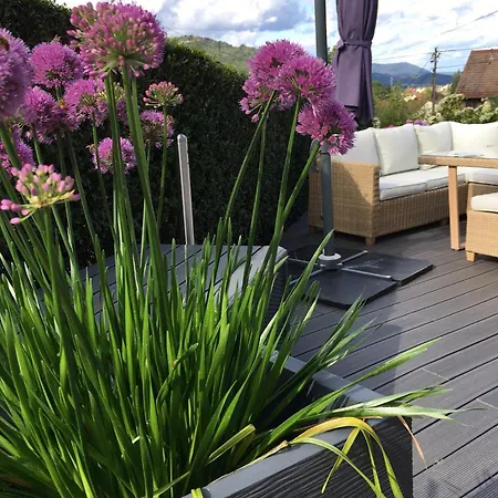 Appartamento Les Hortensias En Alsace - Meublé De Tourisme 3 étoiles *