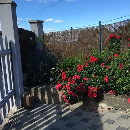 Appartamento Les Hortensias En Alsace - Meublé De Tourisme 3 étoiles Barembach