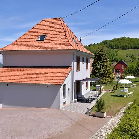 Les Hortensias En Alsace - Meuble De Tourisme 3 Etoiles Apartment Barembach
