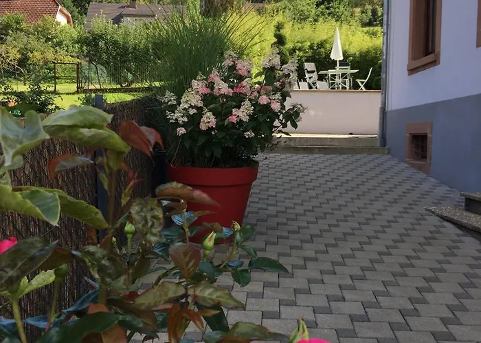 Les Hortensias En Alsace - Meuble De Tourisme 3 Etoiles