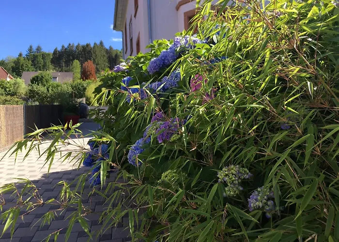 Les Hortensias En Alsace - Meuble De Tourisme 3 Etoiles 아파트