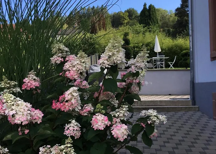 아파트 Les Hortensias En Alsace - Meuble De Tourisme 3 Etoiles *