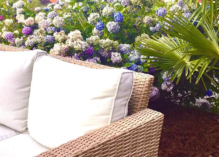 Les Hortensias En Alsace - Meuble De Tourisme 3 Etoiles 아파트 *
