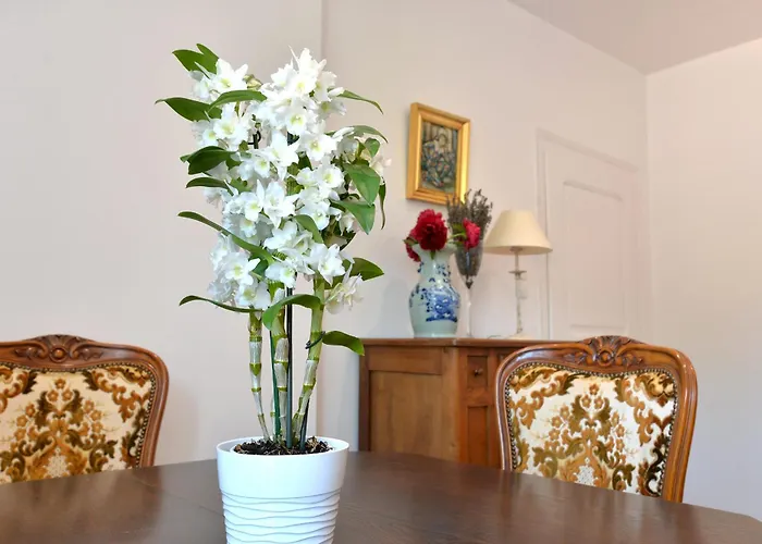 Les Hortensias En Alsace - Meuble De Tourisme 3 Etoiles *