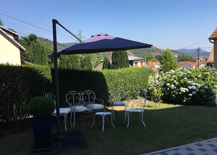 Les Hortensias En Alsace - Meuble De Tourisme 3 Etoiles * Barembach
