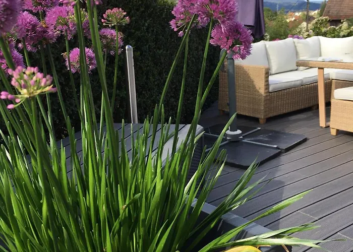 아파트 Les Hortensias En Alsace - Meuble De Tourisme 3 Etoiles *