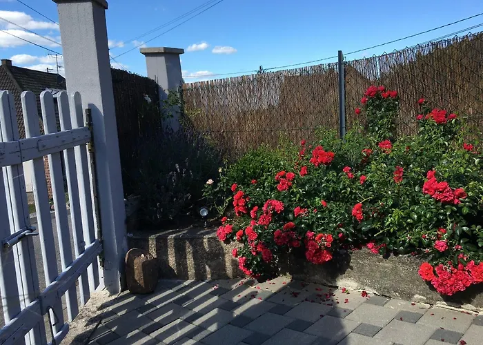 아파트 Les Hortensias En Alsace - Meuble De Tourisme 3 Etoiles Barembach