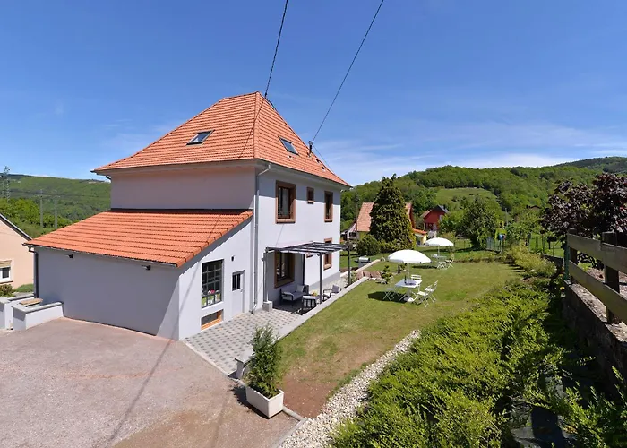 Les Hortensias En Alsace - Meuble De Tourisme 3 Etoiles 아파트 *