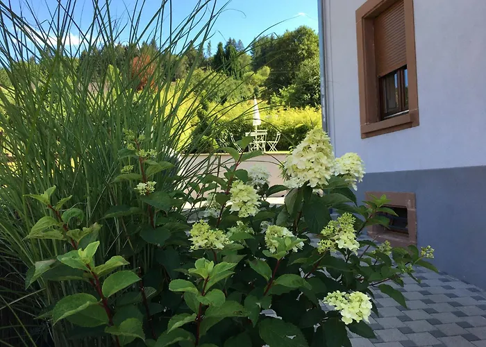 Les Hortensias En Alsace - Meuble De Tourisme 3 Etoiles Barembach