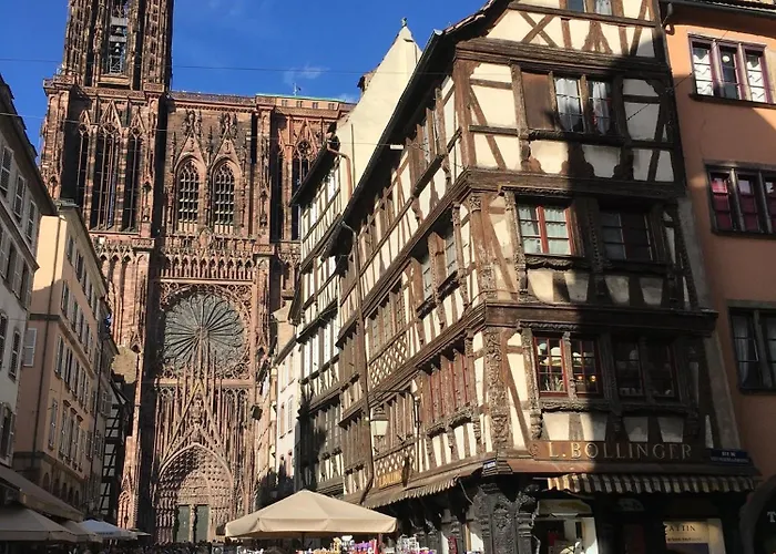 아파트 Les Hortensias En Alsace - Meuble De Tourisme 3 Etoiles