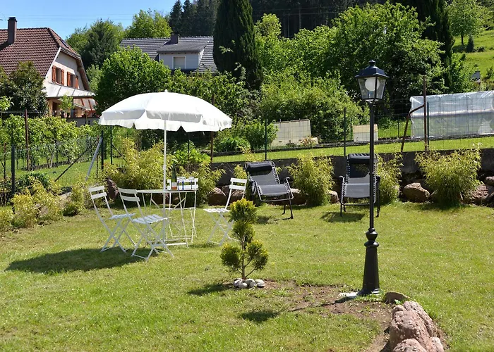 Les Hortensias En Alsace - Meuble De Tourisme 3 Etoiles * Barembach